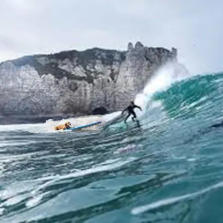 Sight Cliffs Golf - 332m2 13pers, 232m2 8pers, 107m2 5pers - 4str Etretat