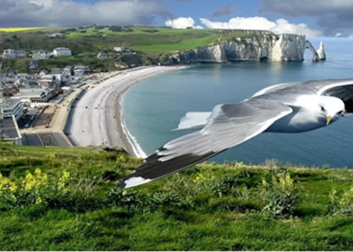 Sight Cliffs Golf - 332m2 13pers, 232m2 8pers, 107m2 5pers - 4str Villa