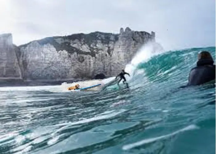 Sight Cliffs Golf - 332m2 13pers, 232m2 8pers, 107m2 5pers - 4str Etretat